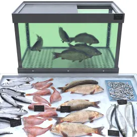 Fish store